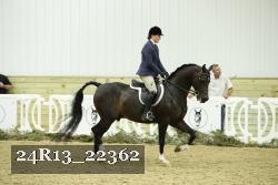 24R13_22362 thumbnail