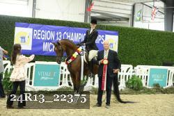 24R13_22375 thumbnail