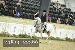 24R13_22386 thumbnail
