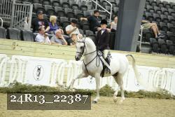 24R13_22387 thumbnail