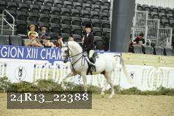 24R13_22388 thumbnail