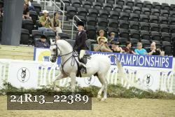 24R13_22389 thumbnail