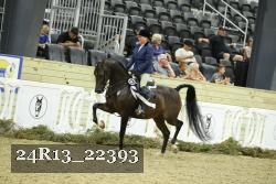 24R13_22393 thumbnail