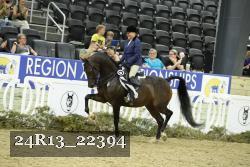 24R13_22394 thumbnail