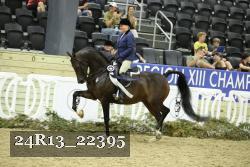 24R13_22395 thumbnail