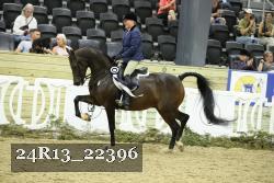 24R13_22396 thumbnail