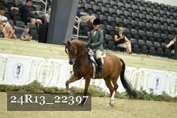24R13_22397 thumbnail