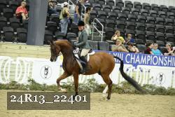 24R13_22401 thumbnail