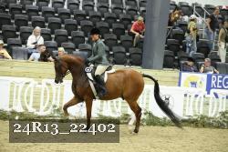 24R13_22402 thumbnail