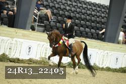 24R13_22405 thumbnail