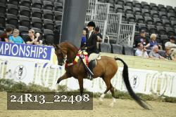 24R13_22408 thumbnail