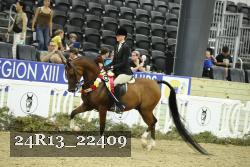 24R13_22409 thumbnail