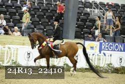 24R13_22410 thumbnail