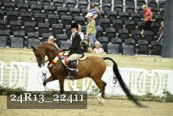 24R13_22411 thumbnail