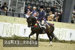 24R13_22414 thumbnail