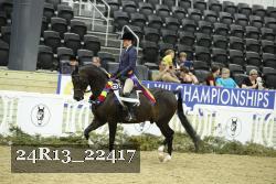 24R13_22417 thumbnail