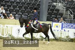 24R13_22418 thumbnail