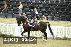 24R13_22420 thumbnail