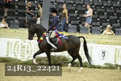 24R13_22421 thumbnail