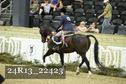 24R13_22423 thumbnail