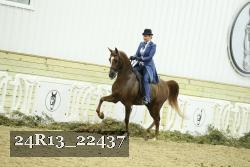 24R13_22437 thumbnail