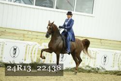 24R13_22438 thumbnail
