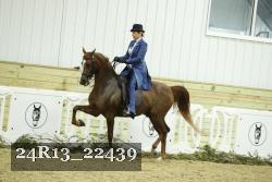 24R13_22439 thumbnail