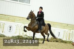 24R13_22440 thumbnail