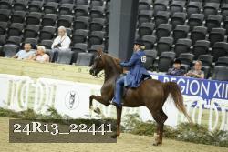 24R13_22441 thumbnail
