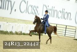 24R13_22442 thumbnail