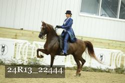 24R13_22444 thumbnail