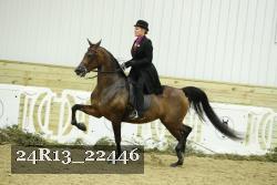 24R13_22446 thumbnail