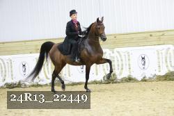 24R13_22449 thumbnail