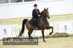 24R13_22450 thumbnail