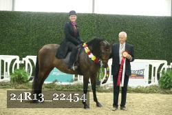 24R13_22454 thumbnail
