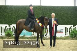 24R13_22456 thumbnail