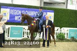 24R13_22460 thumbnail