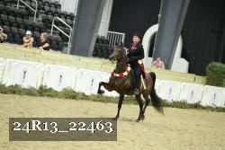 24R13_22463 thumbnail