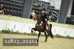 24R13_22464 thumbnail