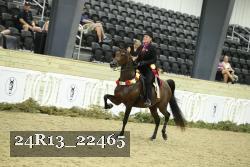 24R13_22465 thumbnail