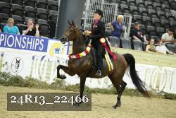 24R13_22466 thumbnail