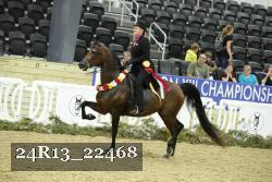 24R13_22468 thumbnail