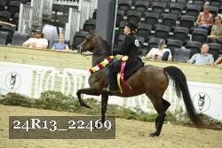24R13_22469 thumbnail
