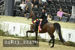 24R13_22470 thumbnail