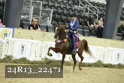 24R13_22471 thumbnail