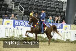 24R13_22472 thumbnail