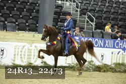 24R13_22473 thumbnail