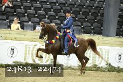 24R13_22474 thumbnail