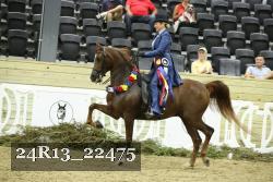 24R13_22475 thumbnail