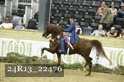 24R13_22476 thumbnail